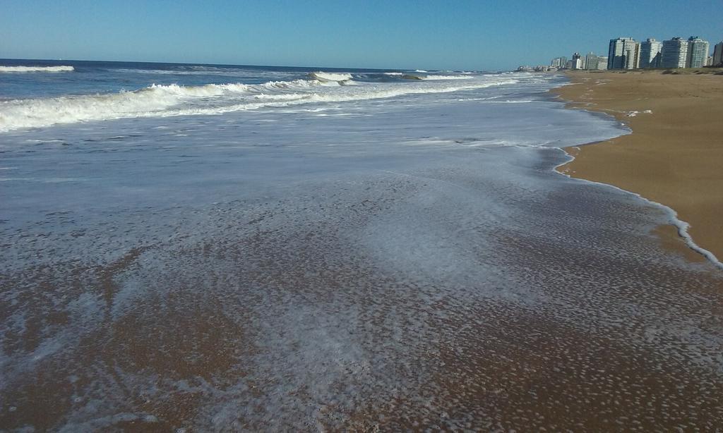 Spiaggia Brava Punta Punta del Este Exterior foto