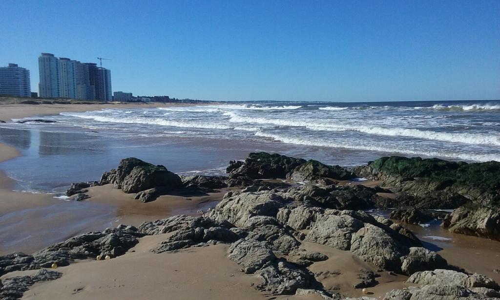 Spiaggia Brava Punta Punta del Este Exterior foto